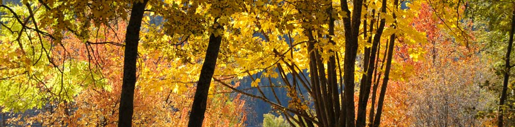 automne-a-la-montagne.jpg