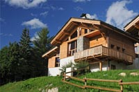 location Chalet 10 persones sur peisey-Nancroix Vallandry 73210